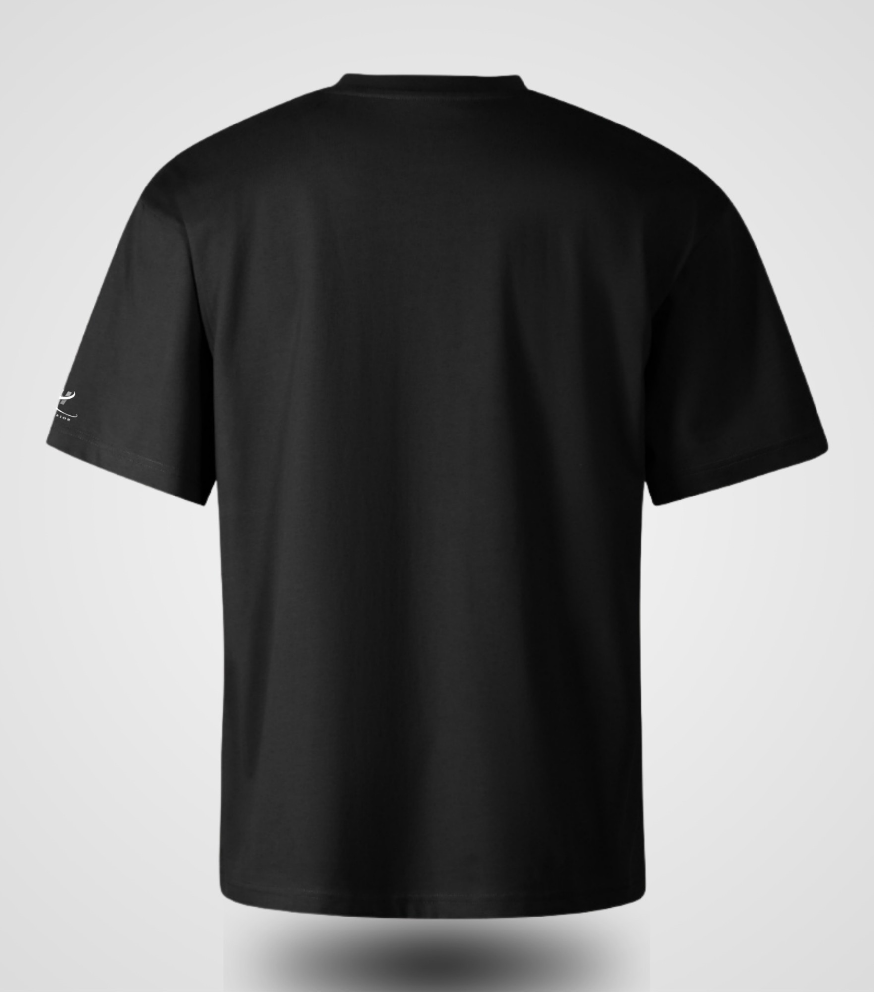 RHSUPERIOR Logo T-shirt, oversized, back view