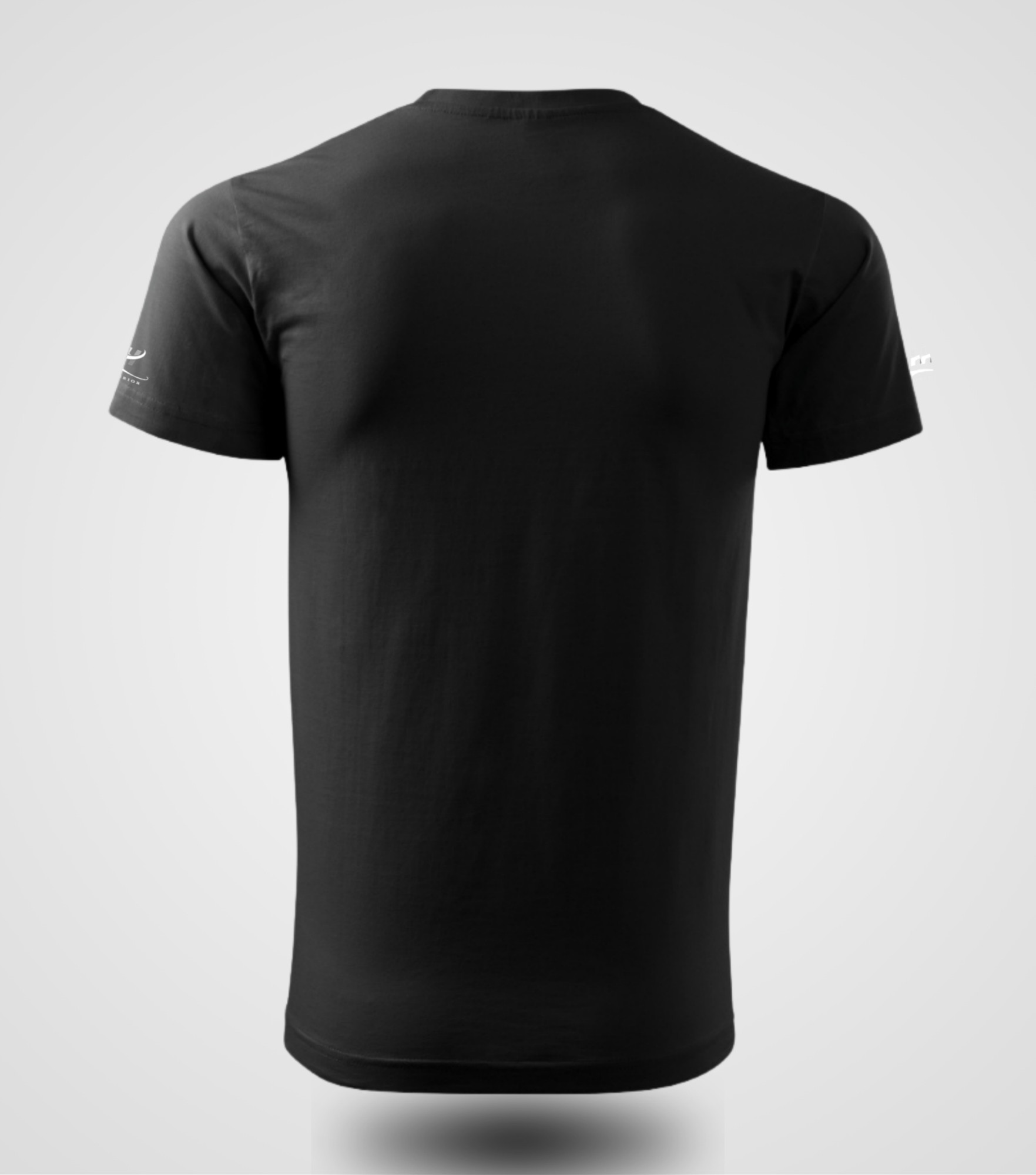 SBD T-shirt, regular fit, back view